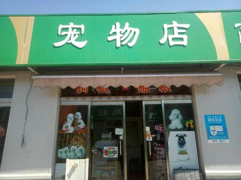 寵物店會(huì)員管理系統(tǒng)1